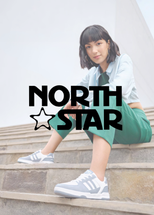 North Star logo